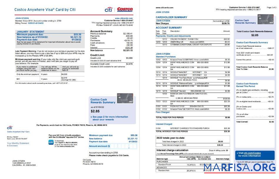 Printable USA Costco Anywhere Visa Card by Citi bank statement word 4 pages download for verification